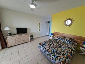 a bedroom with a bed and a tv on a wall at Studio vu sur les caraïbes in Les Trois-Îlets