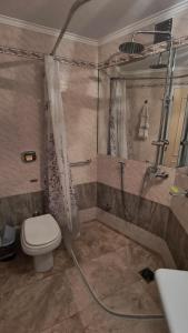 a bathroom with a shower and a toilet at Elvi&Vi in La Rioja