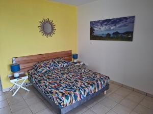 a bedroom with a bed and a mirror on the wall at Studio vu sur les caraïbes in Les Trois-Îlets