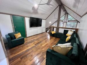 a living room with two green couches and a flat screen tv at The Founder - Iconic Rockhouse Cabin in Campton