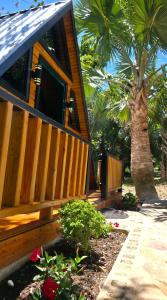 a wooden house with a palm tree in front of it at Cumbre Verde Alpine Villa in Monción