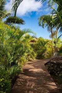 a path lined with palm trees on a beach at Kona Koa Lodge in Hanga Roa