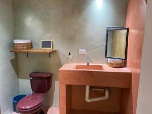a bathroom with a sink and a toilet and a mirror at Calypso Loft in El Paredón Buena Vista