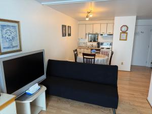 ein Wohnzimmer mit Sofa und Fernseher in der Unterkunft Motel Rayalco in Laurier Station