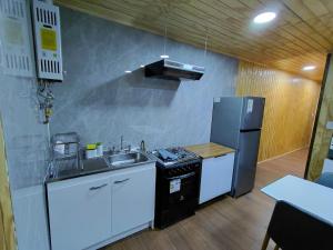 a kitchen with a sink and a refrigerator at Siloe in Coihaique