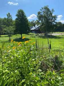 a field of flowers with a house in the background at Yubari Forest Farm BandB in Yubari
