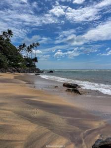 a sandy beach with palm trees and the ocean at The Rosemary House in Weligama