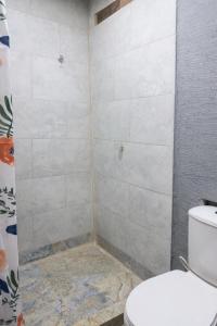 a bathroom with a shower with a toilet at Refugio Rio Santo in Las Alfombras