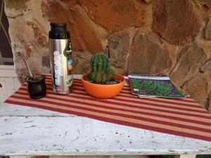 a table with a plant and a bottle on it at Residencial Villalobos in Eldorado