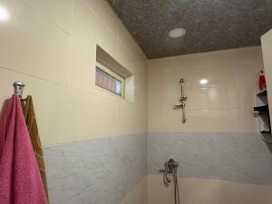 a bathroom with a shower with a pink towel at BibO in Martvili