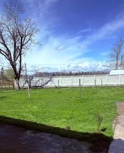 a field of grass with a fence and a tree at BibO in Martvili