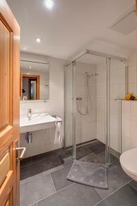 a bathroom with a shower and a sink and a toilet at Apartments Styria in Zermatt