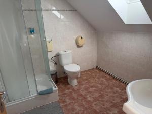 a bathroom with a toilet and a shower at Penzion U Růže in Sezimovo Ústí +42 photos