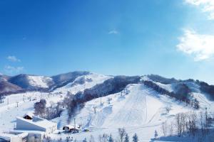 a snow covered mountain with a ski slope at Yubari Forest Farm BandB in Yubari