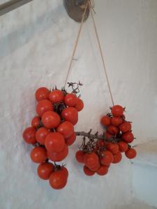 Fotografie z fotogalerie ubytování Biancadamare v destinaci Ostuni