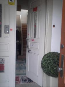 a hallway with a door and a green bush at Hospedaria do Seixo in Porto