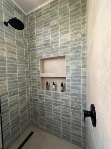 a bathroom with a shower with blue tiles at Roys Suites Galapagos in Puerto Ayora +24 photos