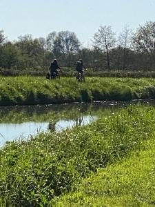two people standing in a field near a body of water at Champvert in Champvert +1 photo