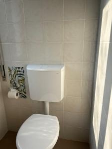 a bathroom with a white toilet in a room at Lodge Valchiavenna in Verceia