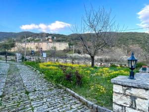 a street with a lamp next to a field of flowers at Xenonas Achnoulas in Ano Pedina