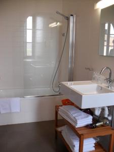 y baño con lavabo y ducha. en Hospedería de Alesves, en Villafranca