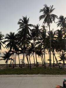 eine Gruppe Palmen am Strand in der Unterkunft Zleep Inn in San Juan
