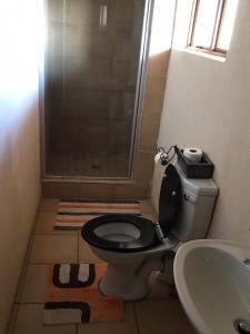 a bathroom with a shower and a toilet and a sink at Lapa Lê Lê Lodge in Ellisras