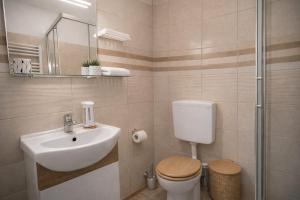 a bathroom with a sink and a toilet and a shower at Nordic Dream Apartment in Kikinda in Kikinda +5 photos