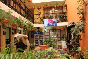 克萨尔特南戈Hotel Kasa Kamelot的相册照片