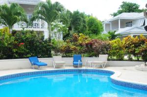 uma piscina com cadeiras azuis e brancas e uma casa em Shades em Saint James
