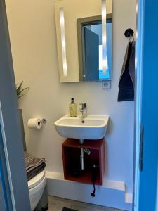 a bathroom with a sink and a mirror and a toilet at Gästeapartment Schkeuditz Dachgeschoss in Schkeuditz