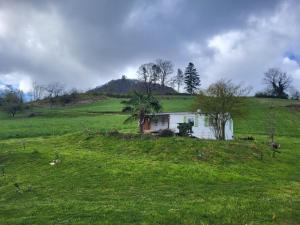 a house on a hill in a green field at Ti caz prairie in Marnoz