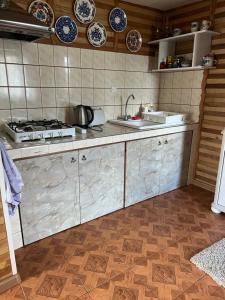 a kitchen with a sink and a stove at UKRYTY SKARB in Głobikówka