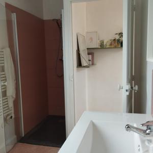 a bathroom with a white sink and a shower at La petite maison in Clermont-Ferrand
