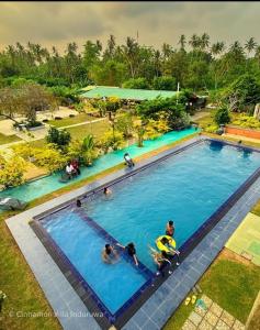 a group of people in a large swimming pool at The Lark Resort , Induruwa in Induruwa +22 photos