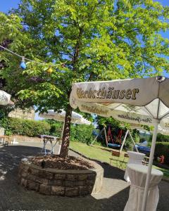 a tree in a planter with an umbrella at Gasthaus Linde Ingelfingen in Ingelfingen