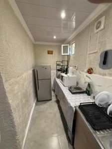 a kitchen with a refrigerator and a counter top at Green House მწვანე სახლი in Sighnaghi