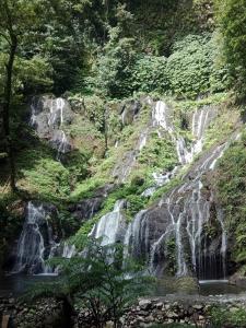 a group of waterfalls on a hill with a river at Manigelang Villa in Munduk