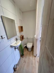 a bathroom with a toilet and a sink and a mirror at Super studio aux portes de Bordeaux ! in Gauriaguet