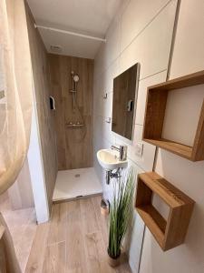 a small bathroom with a shower and a sink at Super studio aux portes de Bordeaux ! in Gauriaguet