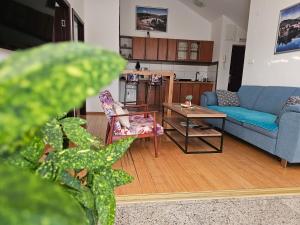 a living room with a couch and a table at Apartmani Mašić Trebinje in Trebinje