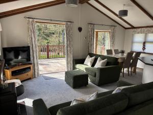 a living room with a couch and a television at 2 Riverside Lodge in Cenarth