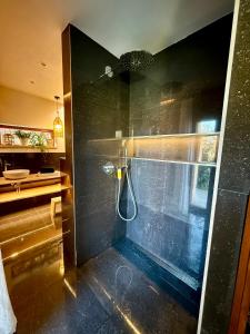 a bathroom with a shower with a glass door at Za kovárnou in Zděchov