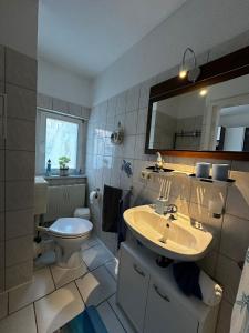 a bathroom with a sink and a toilet and a mirror at Apartments Vogtlandblick in Reichenbach im Vogtland +39 photos