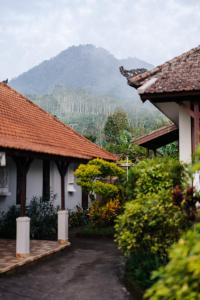 a group of houses with a mountain in the background at Manigelang Villa in Munduk
