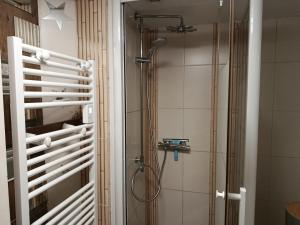 a bathroom with a shower with a glass door at Le Coq de Champagne in Dormans +25 photos