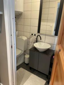 a bathroom with a sink and a toilet at Guesthouse Holmen in Färgelanda