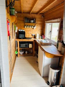 a small kitchen with a counter in a tiny house at Cwt Gafr Bach in Pwllheli