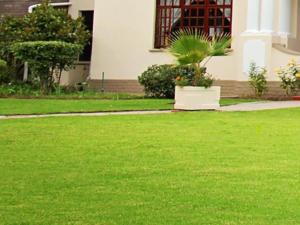 a yard with green grass and a house with a plant at Belle Vue in Queenstown