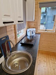 a kitchen with a sink in a tiny house at Vanagu priedes in Kalngale +23 photos